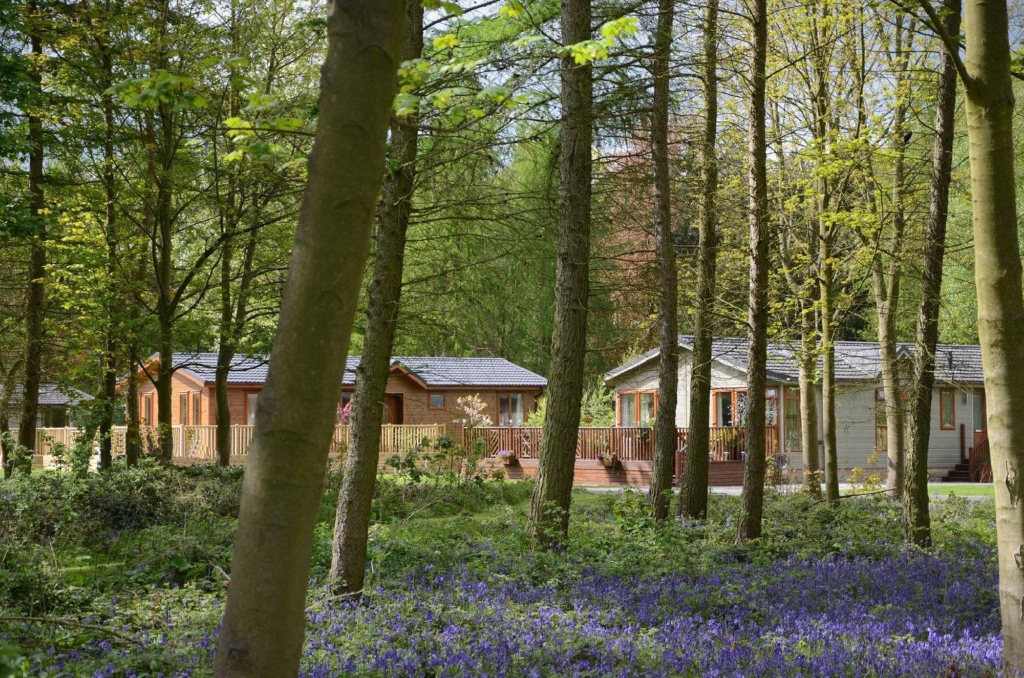 Hollicarrs - Stag Lodge York Extérieur photo
